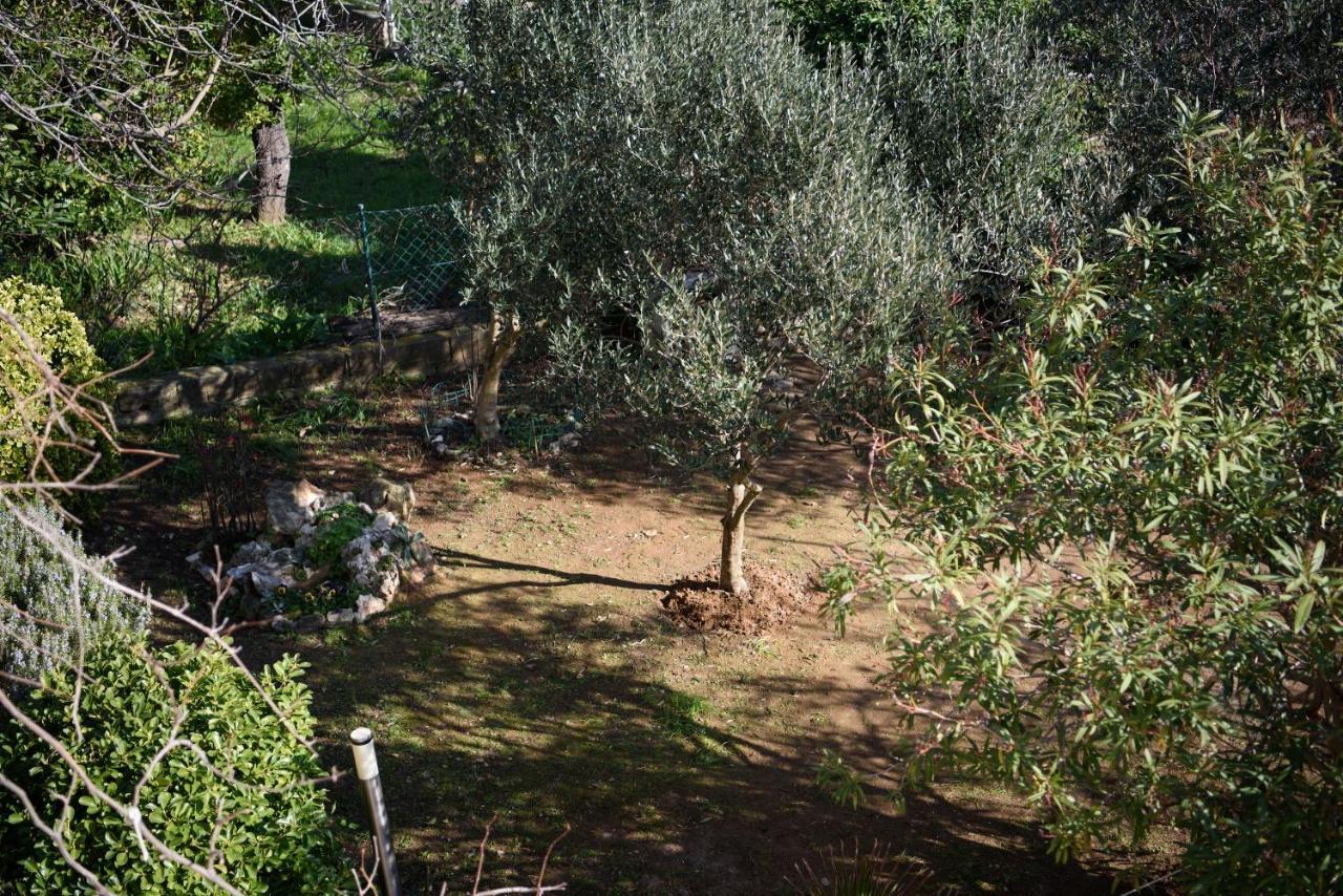 Villa Claudia Lemon Appartment Premantura Buitenkant foto